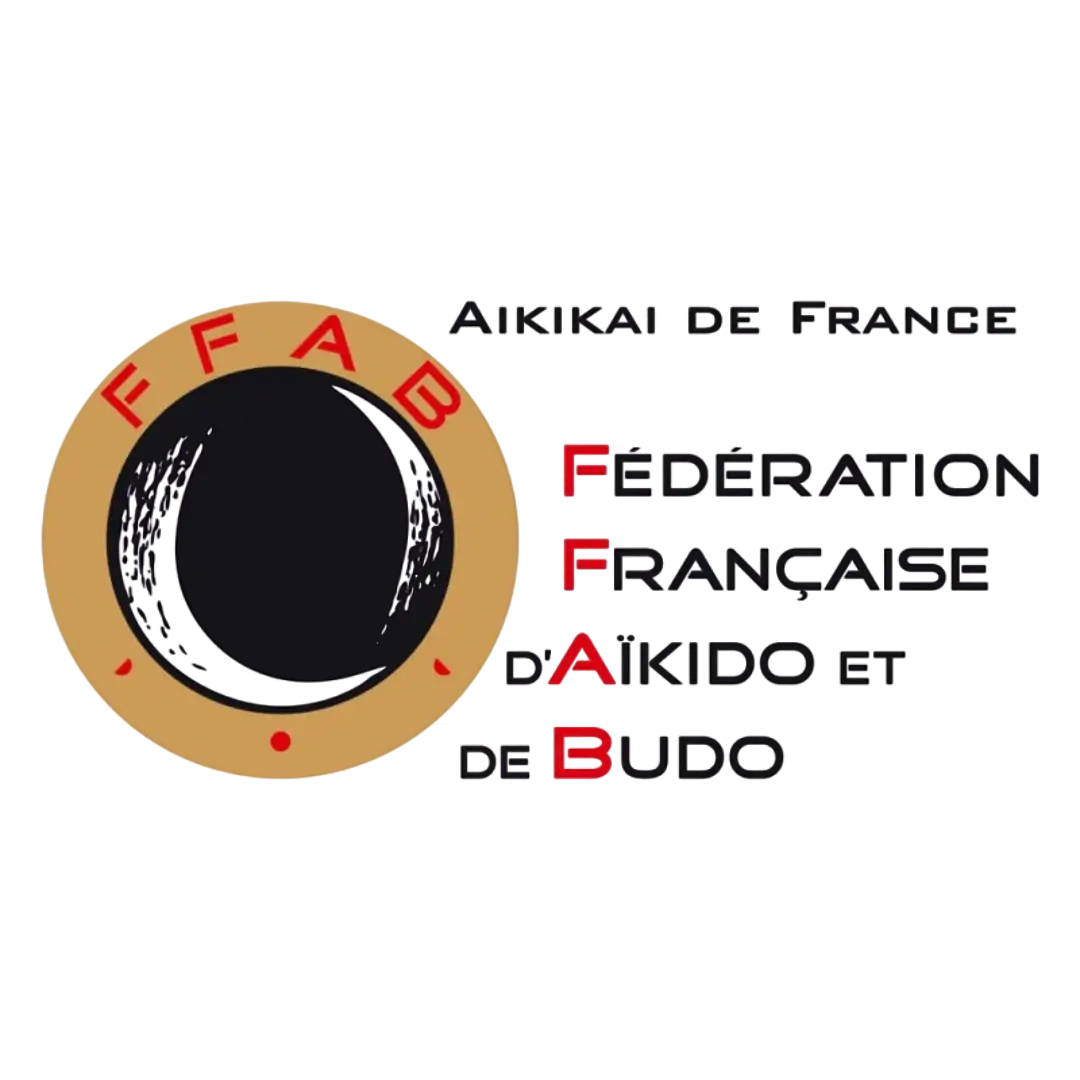 aikido-nancy-metz-epinal-bar-le-duc-lorraine-adulte-enfant-activite-sportive-arts-martiaux-19