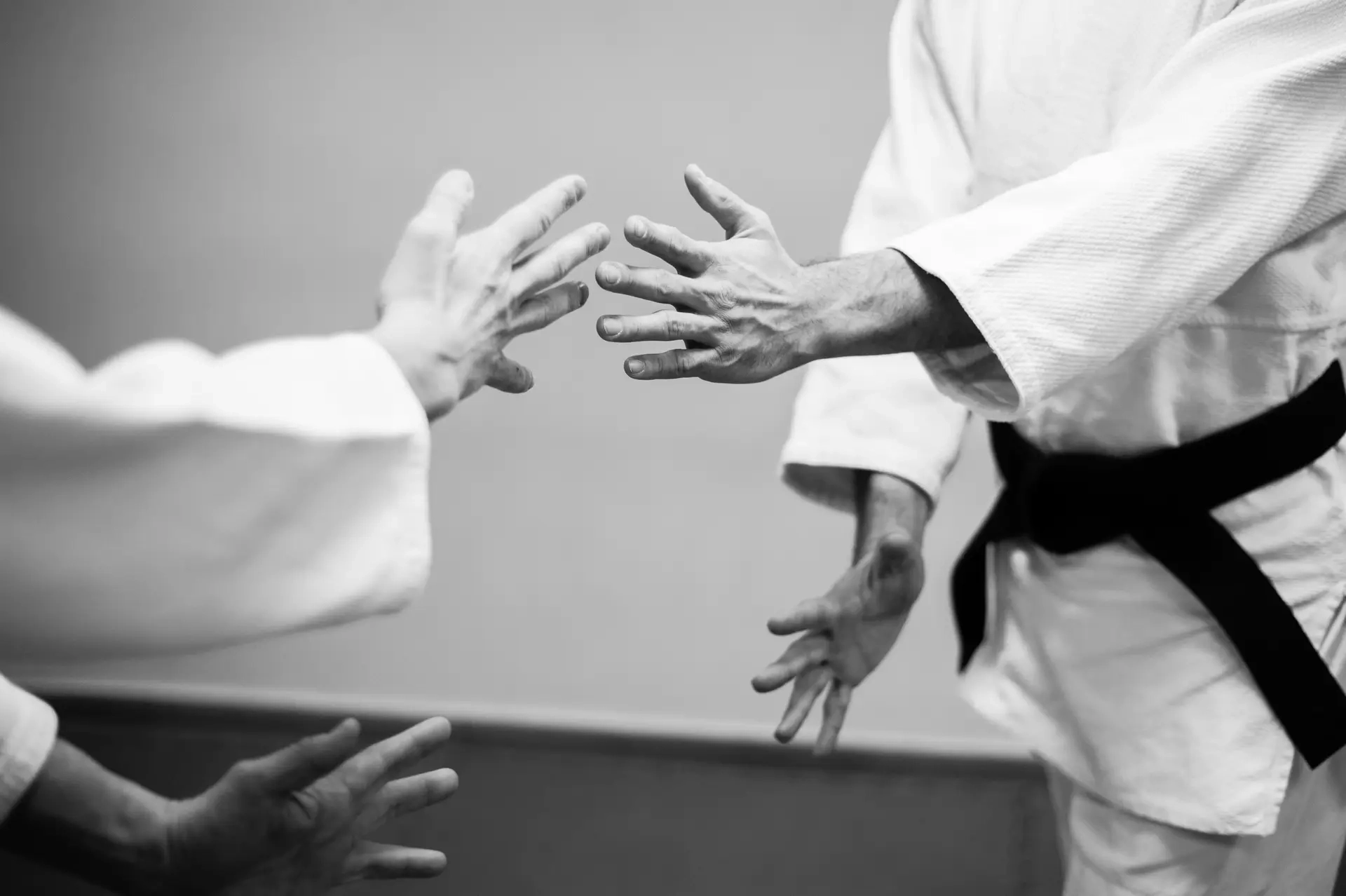 club-aikido-lorraine-nancy-metz-epinal-bar-le-duc-5